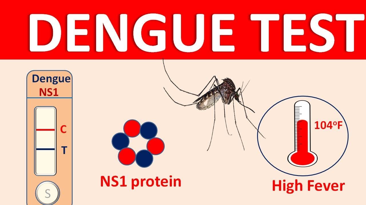 Dengue