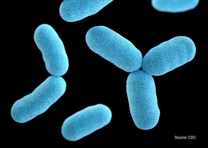Diphtheria