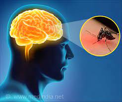 Japanese encephalitis