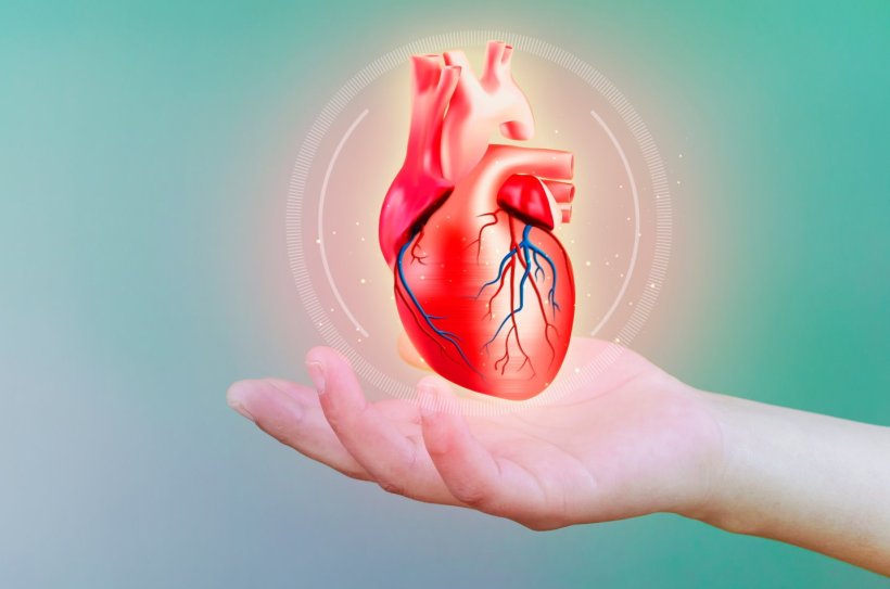 Myocarditis