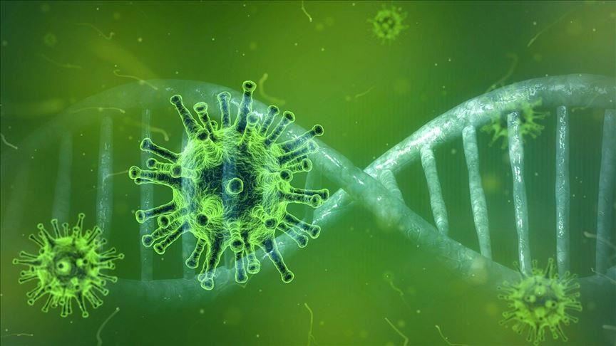 Diseases and conditions